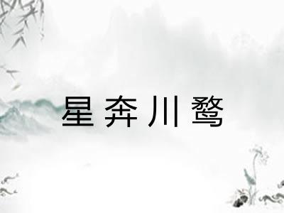 星奔川鹜 星奔川鹜
