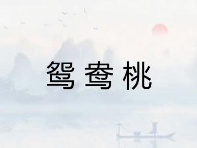 鸳鸯桃 鸳鸯桃
