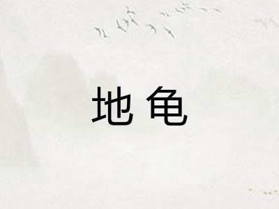 地龟 地龟