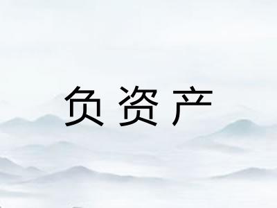 负资产 负资产