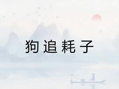 狗追耗子