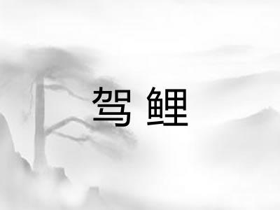 驾鲤