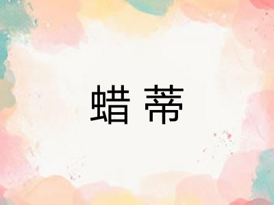 蜡蒂