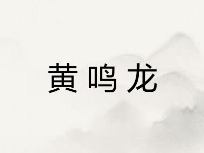黄鸣龙 黄鸣龙