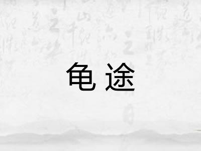 龟途