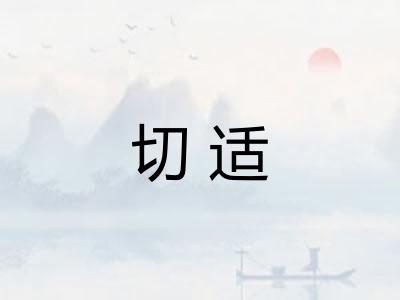 切适