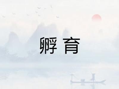 孵育 孵育