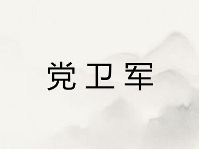 党卫军