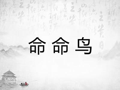 命命鸟