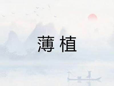 薄植
