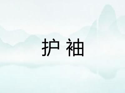 护袖