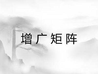 增广矩阵