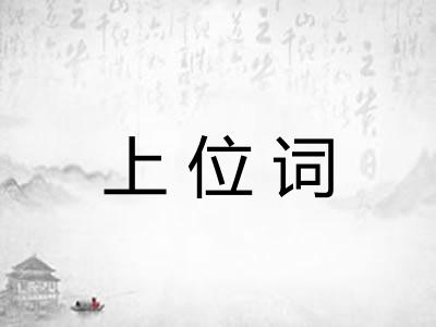上位词 上位词