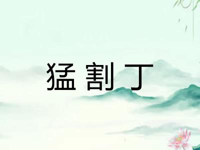 猛割丁