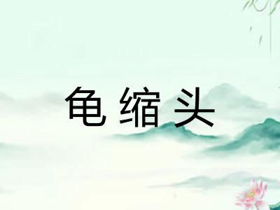 龟缩头