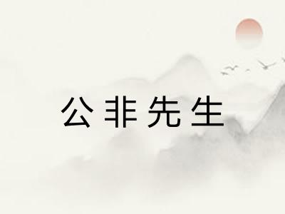公非先生