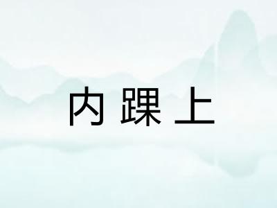 内踝上
