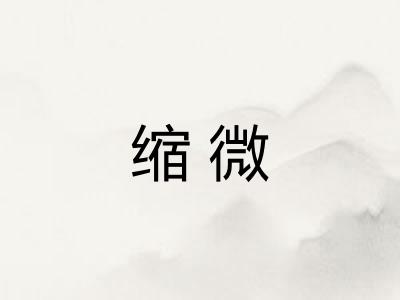 缩微