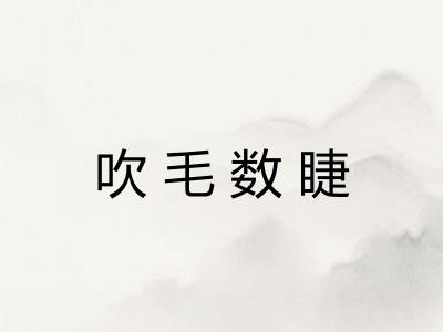 吹毛数睫