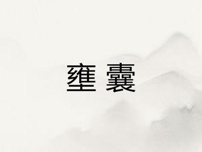壅囊