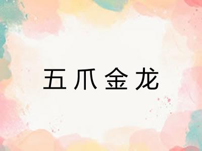 五爪金龙