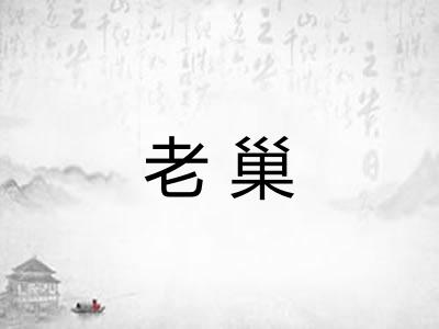 老巢