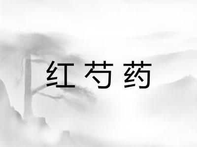红芍药