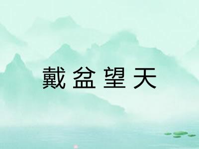 戴盆望天