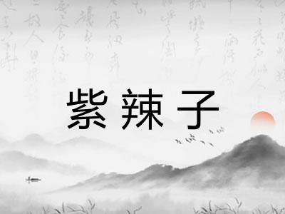 紫辣子 紫辣子