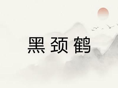 黑颈鹤 黑颈鹤