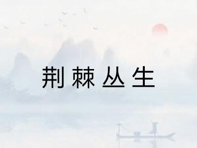 荆棘丛生 荆棘丛生