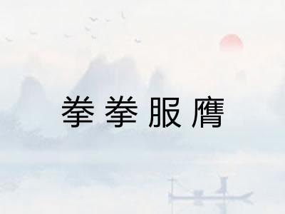 拳拳服膺 拳拳服膺