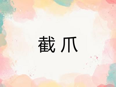 截爪