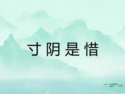 寸阴是惜