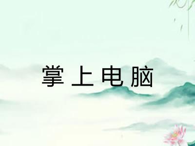 掌上电脑