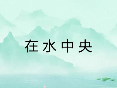 在水中央 在水中央