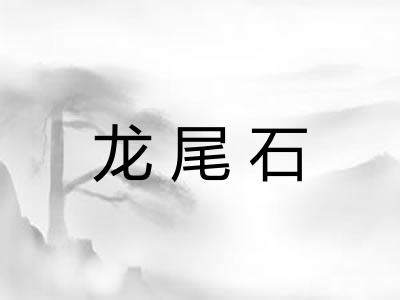 龙尾石 龙尾石