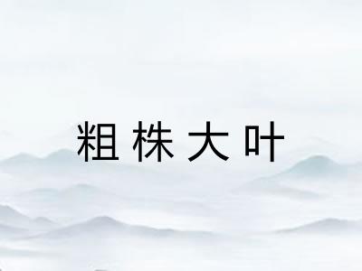 粗株大叶 粗株大叶