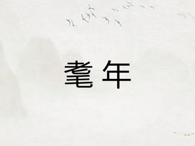 耄年