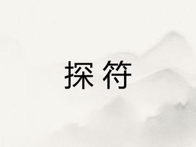探符 探符