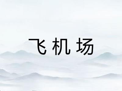 飞机场
