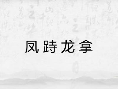 凤跱龙拿 凤跱龙拿