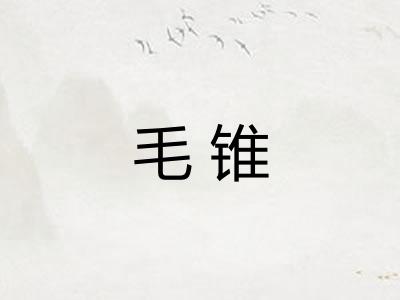 毛锥