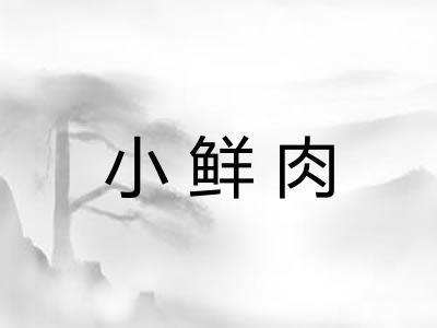 小鲜肉