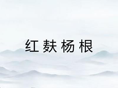 红麸杨根