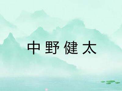 中野健太