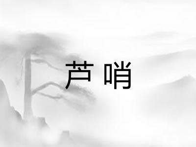 芦哨