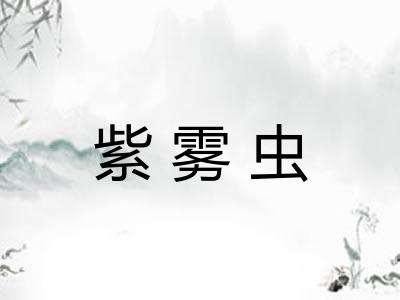 紫雾虫
