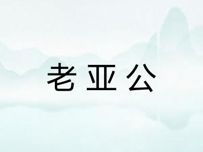 老亚公 老亚公