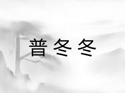 普冬冬